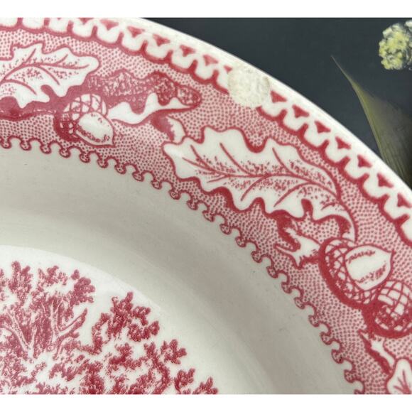 Set of 2 Soup Bowls Memory Lane Pink and White Gift Royal China USA - Picture 5 of 9